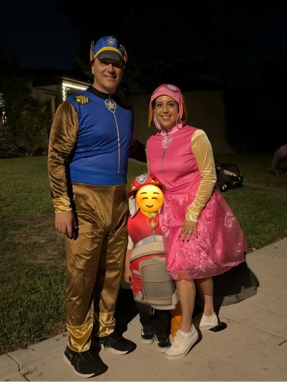 Paw Patrol Family Halloween Costumes (Marshall, Skye & Chase)